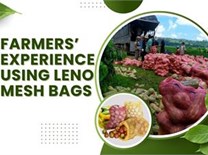 Farmers Experiences Using Leno Mesh Bags